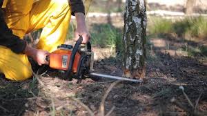 Best Lawn Watering Services  in West Kennebunk, ME